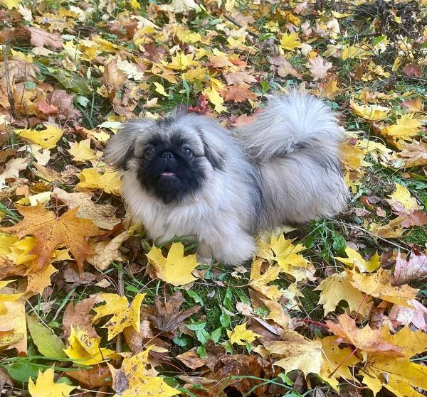 Прикрепленное изображение: IMG-20241013-WA0009.jpg